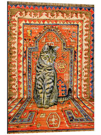 Aluminium print Carpet Cat