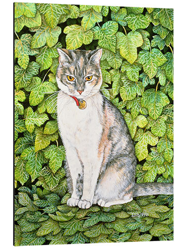 Aluminiumtavla Cat in ivy