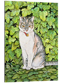 Aluminiumsbilde Cat in ivy