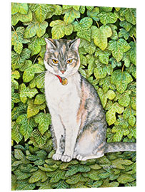 Foam board print Cat in ivy