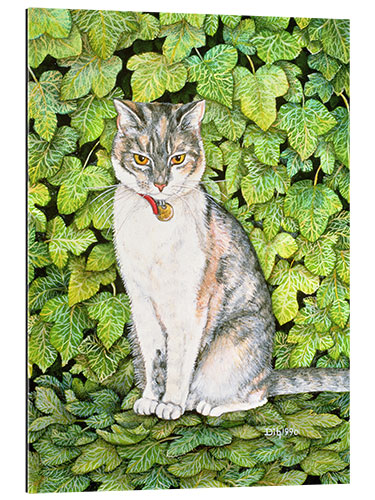 Galleriprint Cat in ivy