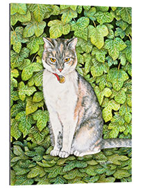 Gallery print Cat in ivy