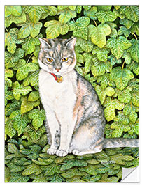 Naklejka na ścianę Cat in ivy