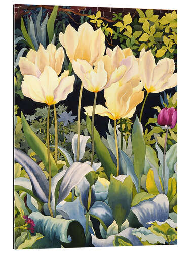 Gallery Print Blasse Tulpen