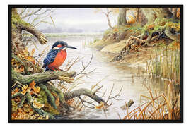 Gerahmter Kunstdruck Eisvogel