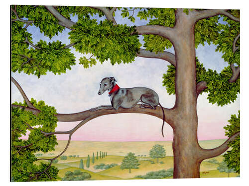 Aluminiumsbilde Whippet on the tree