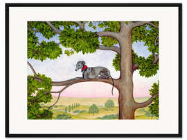 Gerahmter Kunstdruck Whippet auf dem Baum