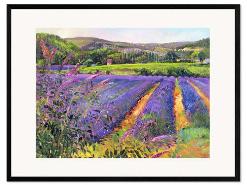 Ingelijste kunstdruk Lavender field