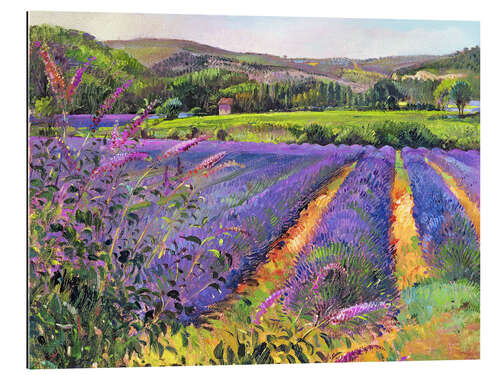 Quadro em plexi-alumínio Lavender field