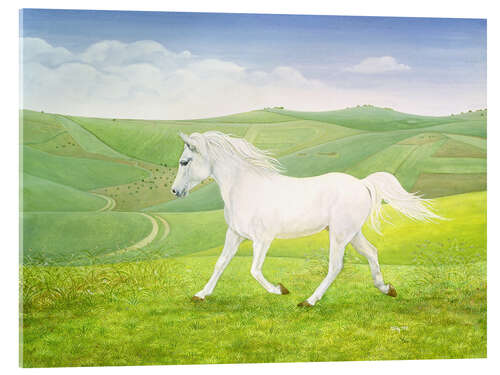 Akryylilasitaulu White Horse