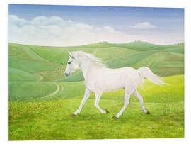 Foam board print White Horse