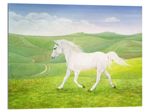 Gallery print White Horse