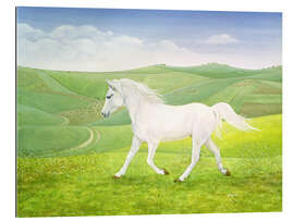 Gallery print White Horse