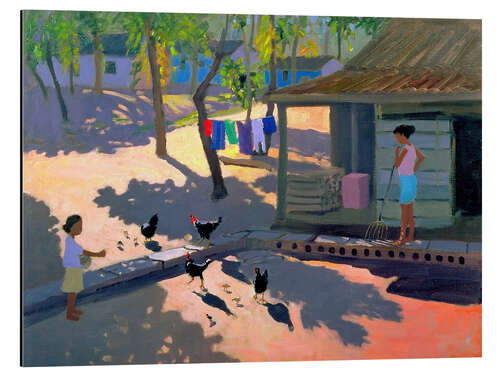 Aluminiumsbilde Hens and Chickens, Cuba, 1997