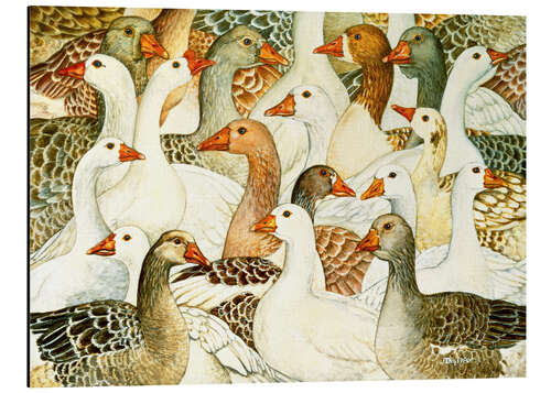 Cuadro de aluminio Patchwork Geese