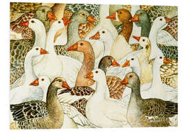 Foam board print Patchwork Geese