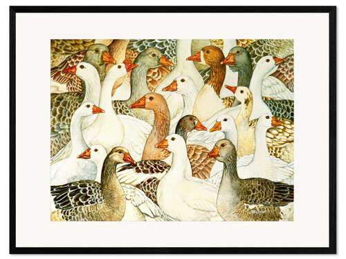 Ingelijste kunstdruk Patchwork Geese