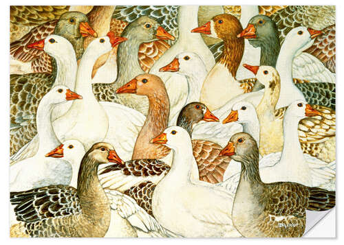 Naklejka na ścianę Patchwork Geese