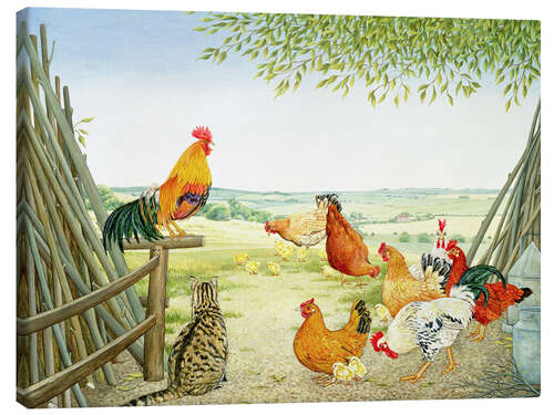 Canvas print Chicken run