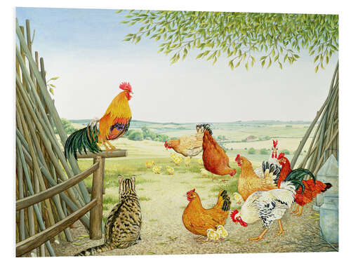 Stampa su PVC Chicken run