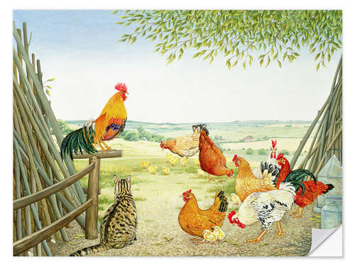 Wall sticker Chicken run