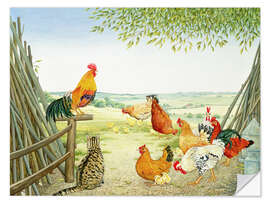 Selvklebende plakat Chicken run