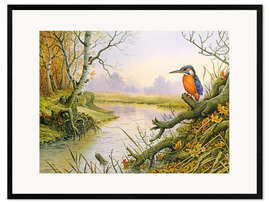 Plakat artystyczny premium w ramie Kingfisher: scene on autumnal river