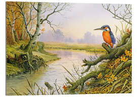 Gallery print Kingfisher: scène op herfstrivier