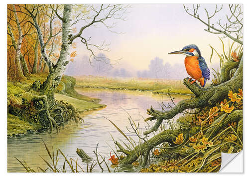 Naklejka na ścianę Kingfisher: scene on autumnal river