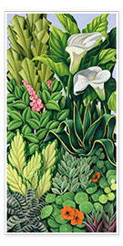 Wall print  Foliage I - Catherine Abel