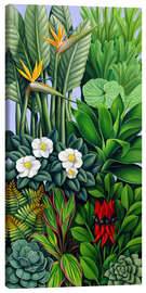 Canvas print  Foliage II - Catherine Abel