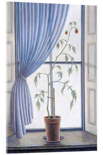 Acrylglasbild Pflanze im Fenster, 2003