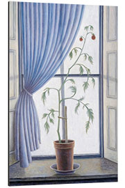 Alubild Pflanze im Fenster, 2003