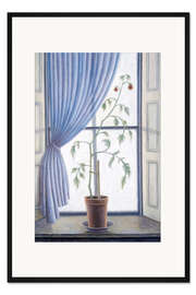 Gerahmter Kunstdruck Pflanze im Fenster, 2003