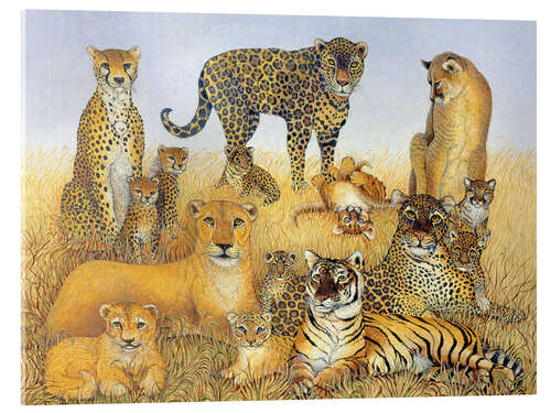 Tableau en verre acrylique Divers grands chats