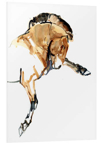 Quadro em PVC Stallion