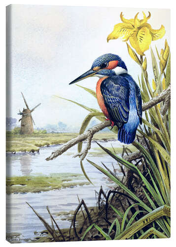 Canvas print Kingfisher with iris and windmill