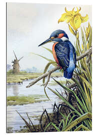 Gallery print Kingfisher with iris and windmill