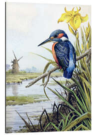 Magnettafel Eisvogel mit Iris und Windmühle