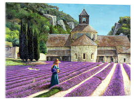 Acrylic print  Lavender picker, Abbaye Senanque, Provence - Trevor Neal