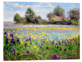 Obraz na szkle akrylowym  Field of wildflowers II - Timothy Easton