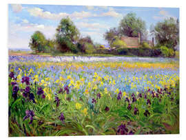 Foam board print Field of wildflowers II