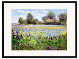 Gerahmter Kunstdruck Wildblumenfeld II