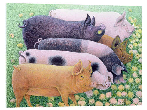 Tableau en PVC Cochons