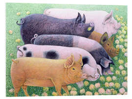 PVC-tavla Pigs