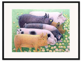 Gerahmter Kunstdruck Schweine
