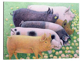 Magnettafel Schweine