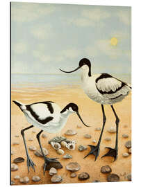 Cuadro de aluminio Beach birds