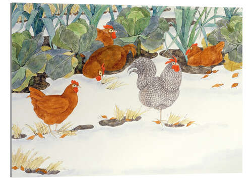 Gallery print Chickens in the vegetable garden