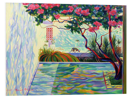 Foam board print Cat in the Mexican garden